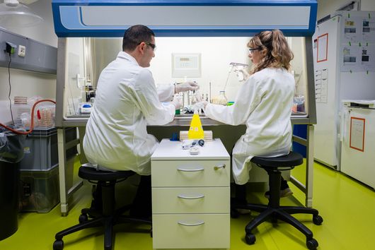 Researchers in the laboratory